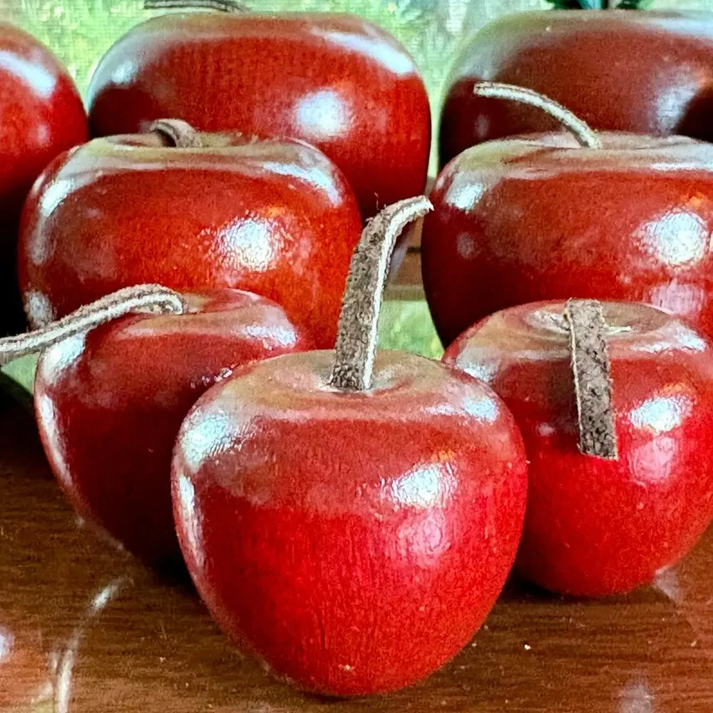 Vintage Wooden Apple Decor Set of 9 Red Rustic